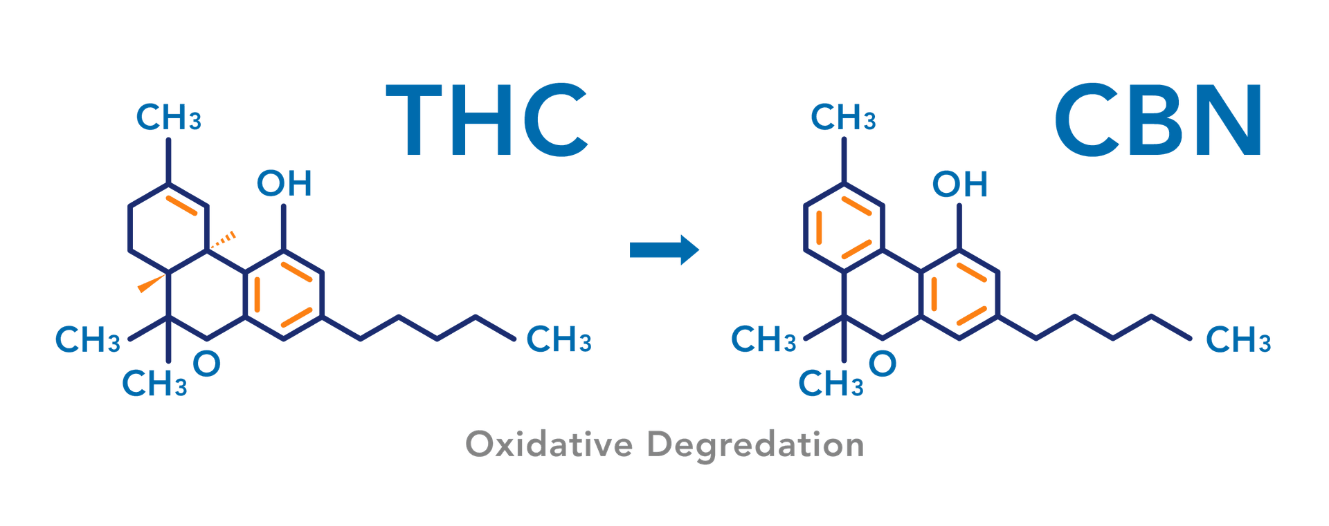 THC to CBN Degradation