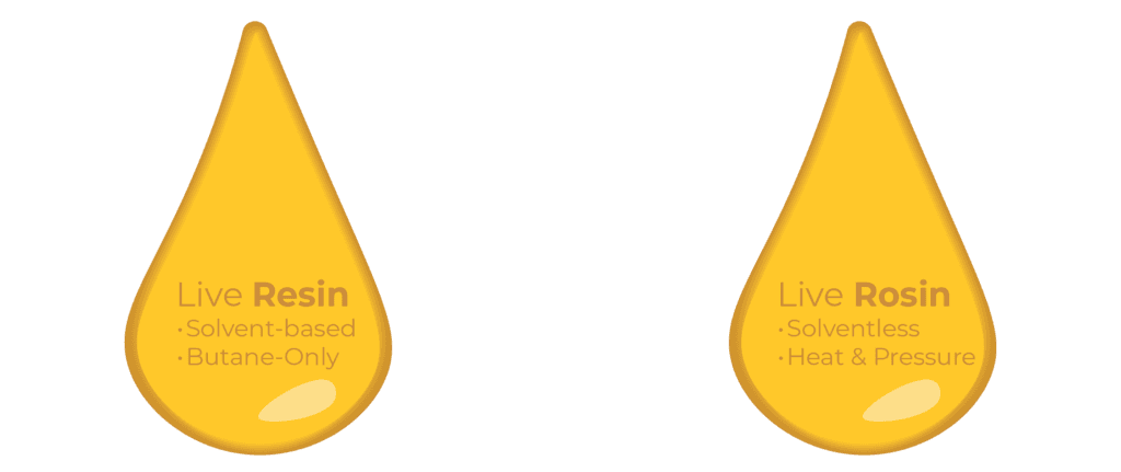 Live Resin vs Rosin - vape technology guide