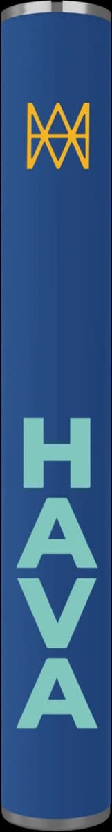 Hava custom Ray Battery