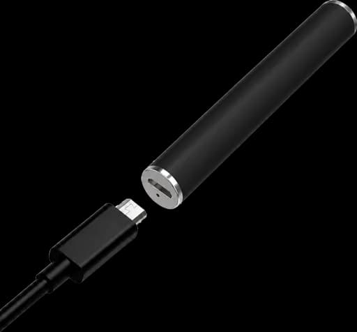 Ray Battery rechargeable 350mAh with micro-USB charger