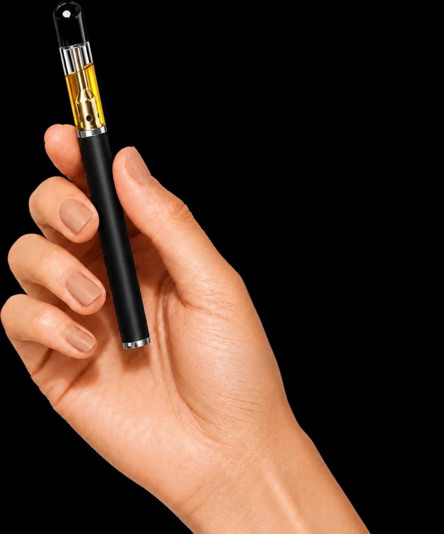 Tao Quartz All-In-One Disposable Vape in Hand