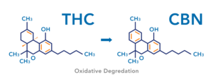 The chemical formula for THC is pictured on left, Chemical formula for CBN is pictured on right.